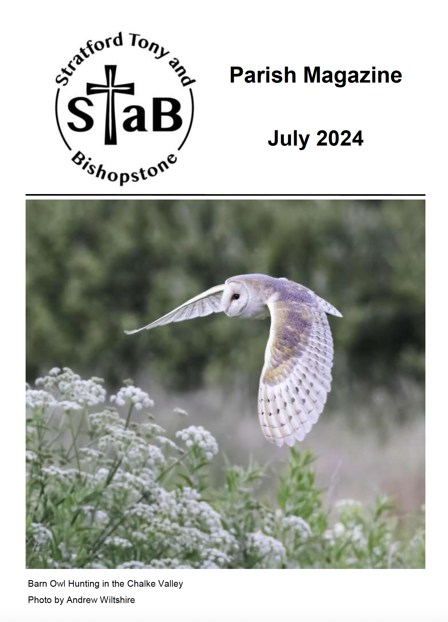 Cover of STaB July 2024